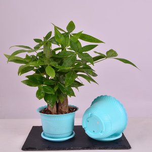 Pots à fleurs en plastique de style nordique minimaliste, pots à succulentes, petits pots à fleurs créatifs, pots à fleurs en grille - Product Image 2
