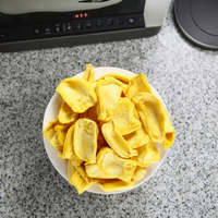 Premium Jackfruit Chips Vacuüm Gebakken Vf Gedroogd Fruit Voor Gezond Snacken 1Kg