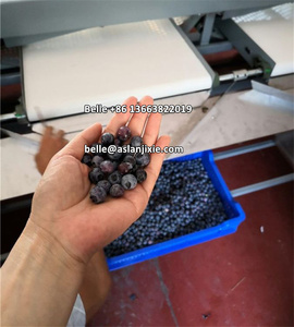 ماكينة تصنيف عنبية زرقاء 2 + 1 ، ماكينة تصنيف حزام عنبية زرقاء ، ماكينة تصنيف عنبية زرقاء - Product Image 4