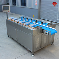Automatisering 12 pallets fruit, vis en rundvlees multiplatform weegschaal elektronische weegschaal voor combinatie