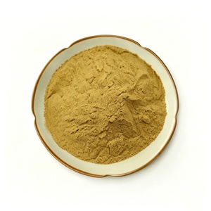 Natural <strong>Bacopa</strong> <strong>Monnieri</strong> Leaf <strong>Extract</strong> High Quality Water Soluble <strong>Bacopa</strong> <strong>Monnieri</strong> <strong>Extract</strong> Powder For Supplements - Product Image 2