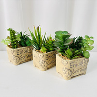 Arrangement de plantes succulentes artificielles en pot en céramique, style nordique, plante de bureau, décoration en pot, prêt à la vente, boîte cadeau
