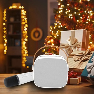 Mini draagbare audio-geïntegreerde microfoon voor thuiszang, karaoke, gezin, draadloze buitenluidsprekerlamp met microfoons - Product Image 5