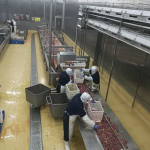 Fabriek Directe Verkoop Automatische Pluimvee Eendengans Vleeskuikens Slachthuis Doden Slachtapparatuur Verwerkingslijn