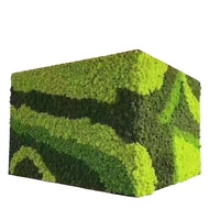 Cadre photo stabilisé en mousse verte de taille personnalisée