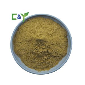 Extracto de Gynostemma Pentaphyllum 50% <span class=keywords><strong>80</strong></span>% 98% Gypenosides Polvo Gynostemma Saponinas - Product Image 2