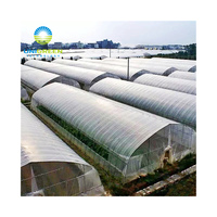 Zng — serre d'usine en plastique à sommet rond, plantation de légumes utilisé en chine, à plusieurs espaces avec systèmes hydroponiques