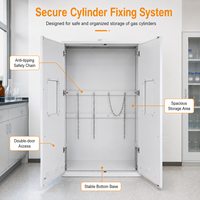 Armoire de laboratoire personnalisée pour bouteilles de gaz avec sortie d'aération supérieure, aérations inférieures, serrure à clé et entraves à chaîne pour la fourniture de projets
