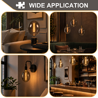 Ampoule LED Fumée de Luxe Antique DG170 7W E26 400LM 2200K, Lampe à Filament Décorative Vintage pour Villa et Hôtel, Éclairage Bronze CE UL
