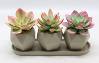 Nouveauté 2025 : Tête de fleur succulente artificielle verte à effet flocqué, pour créations DIY, accessoires pour bonsaï et fleurs artificielles