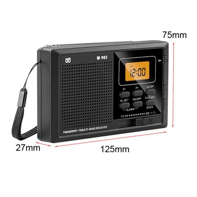 Customized Portable FM Digital Radio Wide Range Channels Built-In Speaker Battery Widescreen LCD Display Internet Radio Radio