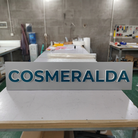 Lettres en acrylique rétroéclairées 3D LED personnalisées pour enseignes d'entreprise, logos, réceptions, salons, centres commerciaux et parcs