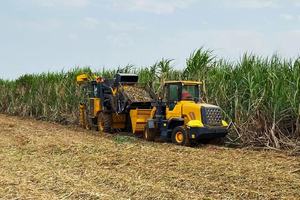 Maquinaria Agrícola, Cosechadora de Caña de Azúcar S935TA 350HP, Transmisión por Engranajes, Caja de Cambios para Hojas de Té y Maíz, Alta Productividad - Product Image 5