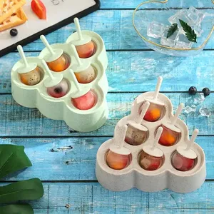 Logo personnalisé bricolage bébé crème glacée sucette Pop moule blé paille Popsicle moule forme pour sorbetière fruits