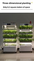 Système de culture hydroponique verticale intelligent pour légumes, culture hors-sol, multi-niveaux, pour usage domestique, pour semis et jeunes pousses