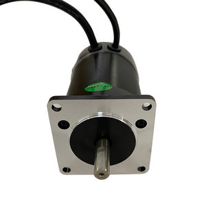 300W 48V Low Voltage 10000 rpm Adjustable <strong>Speed</strong> Permanent Magnet DC Brushless <strong>Motor</strong> with Low Noise and <strong>High</strong> Torque - Product Image 1