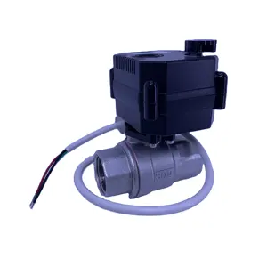 Bola Actuadora Motorizada Eléctrica de Acero Inoxidable, Control de Flujo de Agua de 2 Vías, DN10, DN15, DN20, DN25, DN32, DN40, DC9 ~ 24V