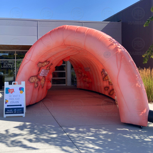 Tunnel de Colon Gonflable Géant pour Expositions Médicales Extérieures, Publicité, Grand Modèle de Colon Humain Gonflable pour Expositions Médicales - Product Image 3