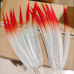 Plumas de Faisán Artificiales Teñidas al por Mayor de Fábrica para Disfraces de Carnaval, Samba, Tocados de Boda y Manualidades DIY - Product Image 5
