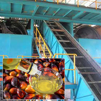 Ligne de Production Industrielle Robuste d'Huile de Palme de 0,5 à 100 T/H avec Machines de Stripping, Pressage et Raffinage en Option