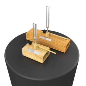 Diapason Standard 256HZ e 512HZ per <span class=keywords><strong>esperimenti</strong></span> di <span class=keywords><strong>laboratorio</strong></span> di scienze della scuola di istruzione - Product Image 3