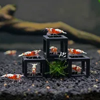 Nid de crevettes ornementales en cristal, ornement d'aquarium moderne en céramique, cachette pour cichlidés, boîte de reproduction