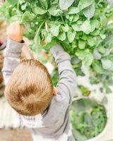Systèmes de culture hydroponique intérieurs personnalisés, tour de jardinage verticale pour la maison avec éclairage LED