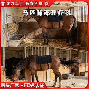 Dispositivo de Terapia de Luz Roja para Recuperación de Lesiones Abdominales en Caballos, Relajación Muscular, Curación de Fracturas, Uso Doméstico Inalámbrico - Product Image 2