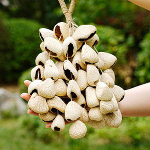 Wholesale Natural Fruit Shell Hand Shake Bell Hand‑woven Hemp Rope Dried Nut Shell Rattle Yoga Sound Therapy Hanging Ornament - Product Image 3