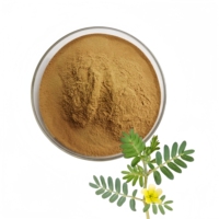 Tribulus Terrestris 90% Saponines Extrait de Fruit UV en Poudre – Complément de Soutien Athlétique pour Vitalité, Force et Santé