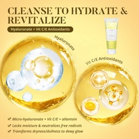 Nettoyant moussant pour le visage en profondeur, marque privée, hydratant pour la peau, apaise, gel nettoyant pour le visage au curcuma biologique