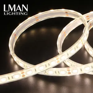 Saving Energy Protecting Environment Commercial Building Outdoor Decoration Ip68 Waterproof Dc 12v 24v Smd 5050 Led Strip Light