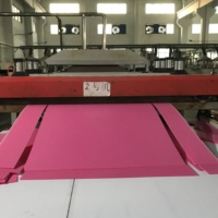 Offre Spéciale Taille personnalisée 2-12mm brillant polypropylène (PP) creux/feuilles ondulées plastique de haute qualité fabriqué en Chine comprend la coupe