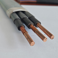 Cable de Alimentación Sumergible para Bomba de Pozo Petrolero QYEQ de 3KV 4KV 5KV 6KV, 3 Núcleos, Núcleo de Cobre, Aislamiento EPDM, Blindado, ESP