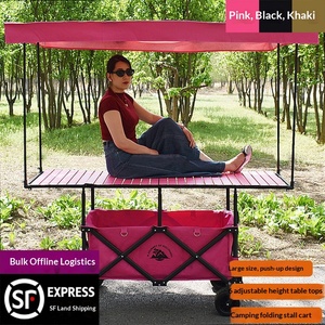 Chariot pliant d'extérieur personnalisé à roues larges, chariot de jardin, chariot de plage, chariot de camping avec pare-soleil amovible, poussette-chariot - Product Image 3