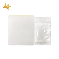 Patchs Adhésifs Naturels à l'Armoise pour les Pieds – Soin Herbal de Nuit