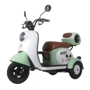 Newest E-trike Adult Electric Bike Scooter 3 Wheel Electric Cargo Bike 3 Wheels Electric Bicycle Motorcycle Electric Tricycles