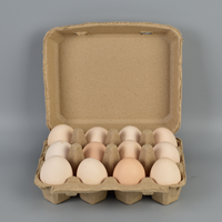 Barquettes à œufs en pulpe de papier biodégradable de qualité alimentaire, 2/3/4/6/7/8/10/12 alvéoles, pour l'emballage et le stockage quotidien des œufs