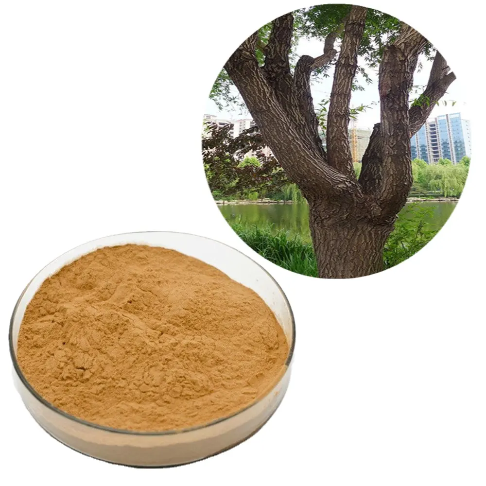 Low Price High Quality Salix Alba Tree Branches White Willow Bark Salicin Extract