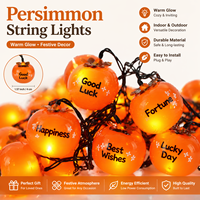 Guirlandes lumineuses LED en plastique en forme de kaki, pour l'intérieur et l'extérieur, avec éclairage féérique, pour la décoration du jardin et du patio, indice de protection IP65