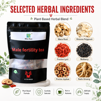 Thé au ginseng, thé pour la fertilité masculine, thé aux racines de maca, thé aux baies de goji en sachets, soutien au bien-être masculin, formule personnalisée, étiquette privée, OEM, ODM