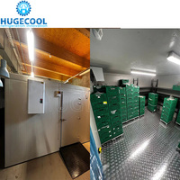 Chine froid/refroidisseur/refroidisseur salle de stockage avec équipement de réfrigération
