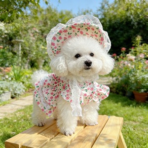 Vêtements pour animaux de compagnie, robe florale Little Rose pour chiens et chats, tenue en Polyester pour printemps et automne, robe pour petit chien et chiot - Product Image 2