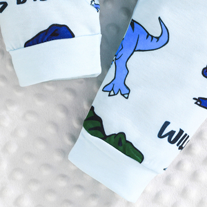 ชุดเซ็ตเสื้อแขนยาวลายสัตว์ 2 ชิ้น สไตล์ลำลองสำหรับเด็กผู้ชาย ขายส่งสำหรับฤดูใบไม้ร่วง - Product Image 5