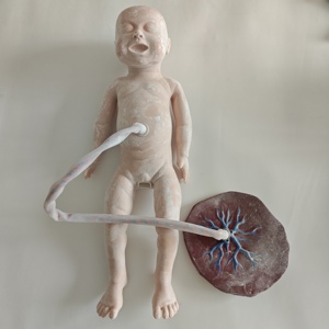 Modelo de Enseñanza de Parto Manual Avanzado, Simulador de Parto de <span class=keywords><strong>Obstetricia</strong></span> <span class=keywords><strong>y</strong></span> <span class=keywords><strong>Ginecología</strong></span> - Product Image 3