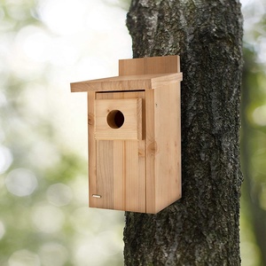 Nichoir en bois massif durable pour mésanges bleues - Product Image 6
