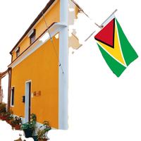 Drapeaux de la Guyane en gros 3x5 pieds, polyester 68D/100D, personnalisation pour toutes les nations, expédition rapide, fournisseur fiable, livraison rapide