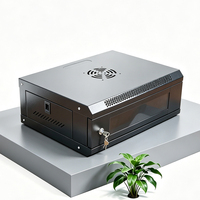 Rak Server 19 Inci Mini IT 4U 6U Kabinet Jaringan Kabinet Dalam Ruangan Pintar