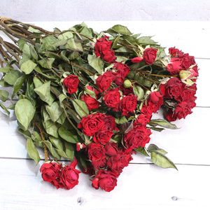 Multi testa essiccata fiore di rosa singola testa essiccata Bouquet di <span class=keywords><strong>Rose</strong></span> rosa bolla decorazione produttore all'ingrosso - Product Image 3