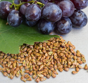 مستخلص بذور العنب العضوي الأكثر مبيعًا بنسبة 95٪ من مسحوق مستخلص بذور العنب - Product Image 3